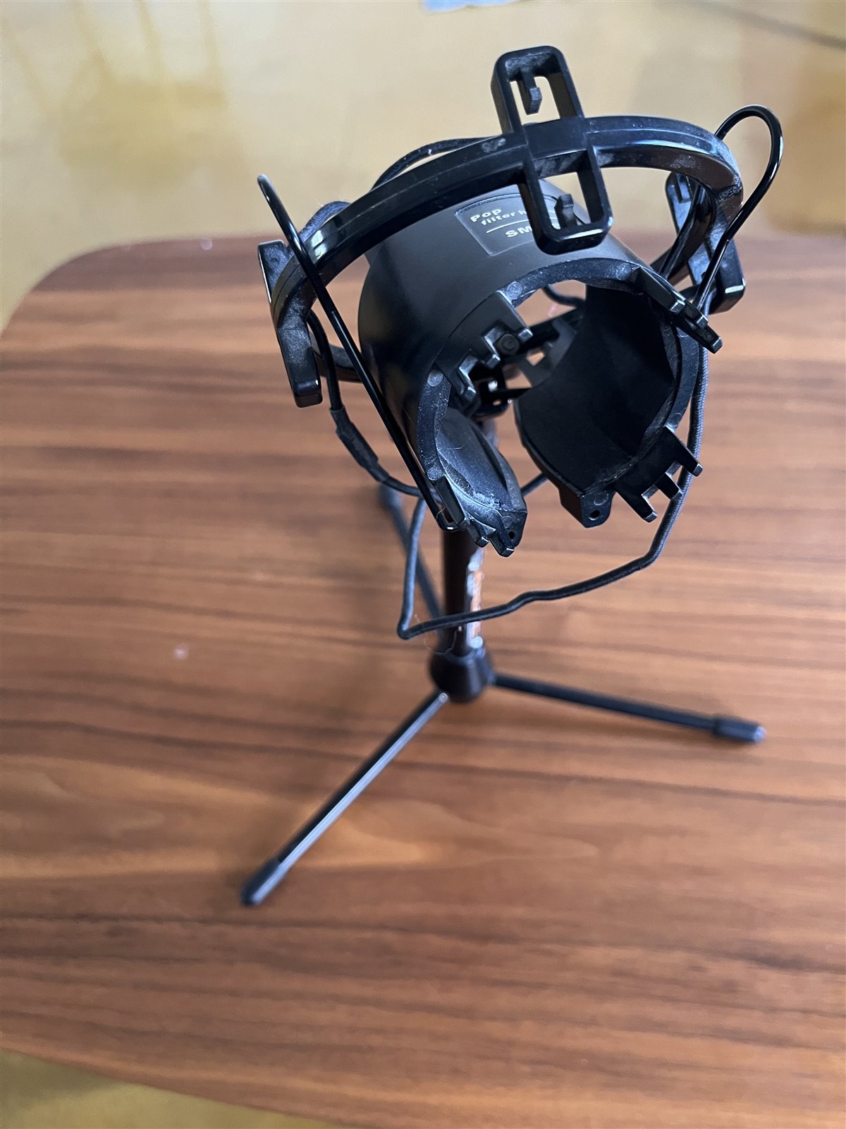 Studio microphone mounted in a shock mount on a boom stand.